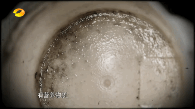 太恶心了！这么脏的东西宝宝可能天天在用，快看你家中招没