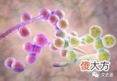 【历史故事】古代疫情“天花”，是如何被清零的？