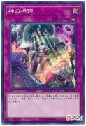 【游戏迷】游戏王：上帝的神字系列卡牌的克星，反击再反击