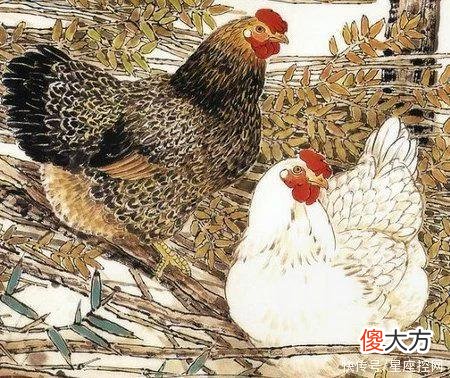 【十二星座】2022年没有苦海无边，只有衣食无忧的生肖，日子越来越好