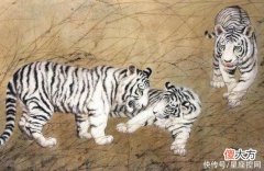 【十二星座】2022年没有苦海无边，只有衣食无忧的生肖，日子越来越好