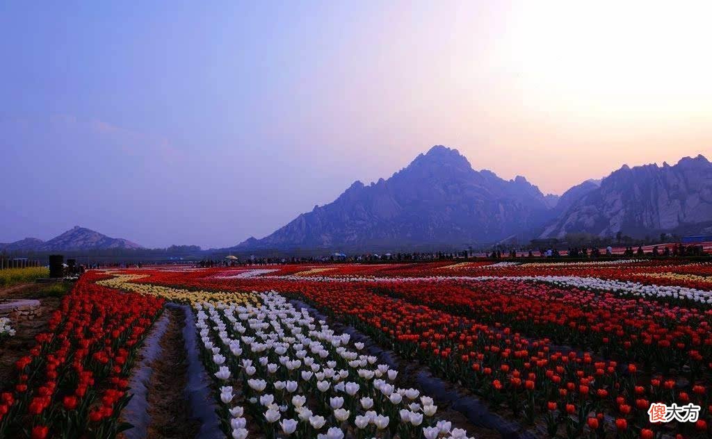 【爱历史】中国三座以上开头的城市，除了上海，你能一口气全说出来吗