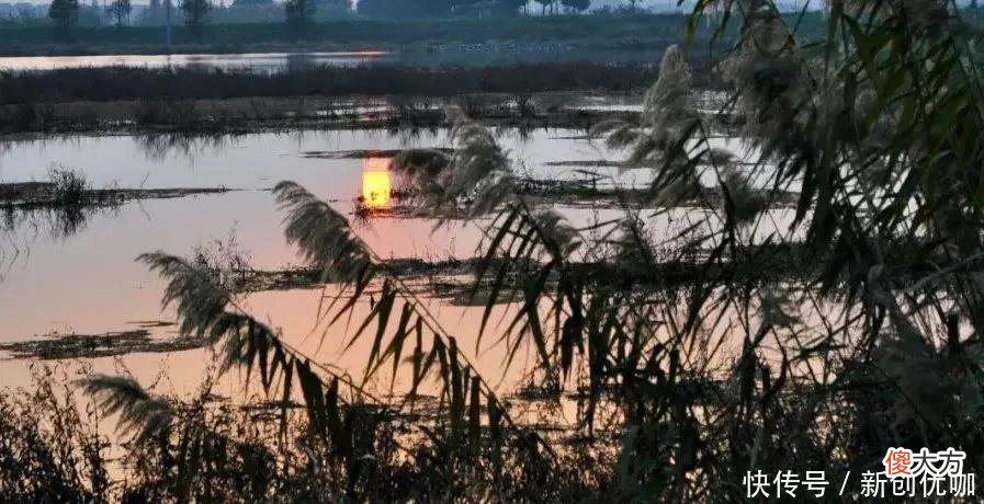 【星座控】6月，天降鸿福，大吉大利，喜鹊登门，好消息络绎不绝的三个生肖