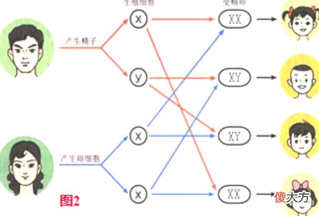 男孩智商100％遗传自妈妈？大错特错！爸爸的功劳不能忽视