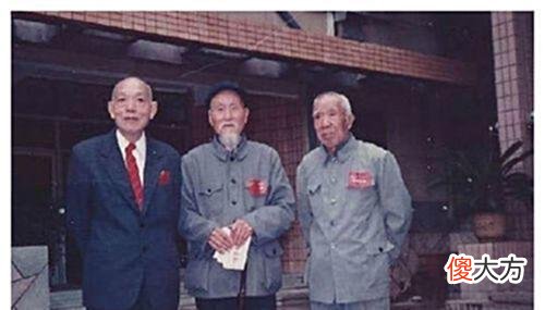 【历史故事】杨虎城遇害时，年仅56岁，留下2子6女都去了哪里，现如今怎样