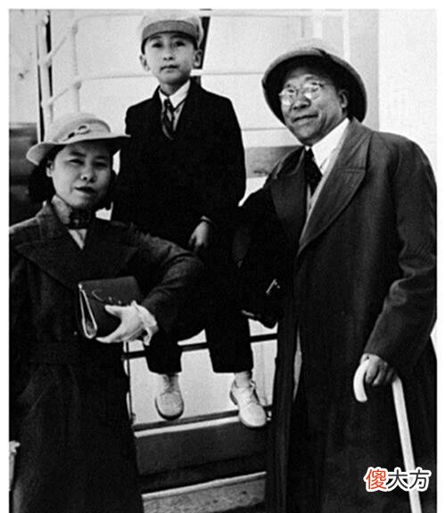 【历史故事】杨虎城遇害时，年仅56岁，留下2子6女都去了哪里，现如今怎样