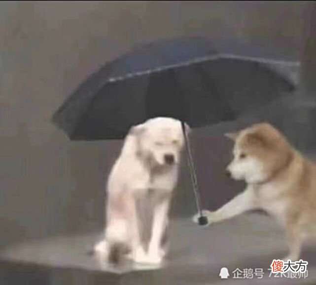 【游戏迷】关于我在看点发炉石文章的心得