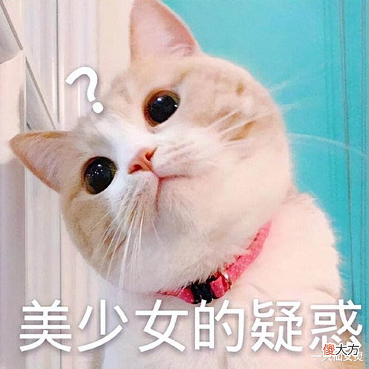 【游戏世界】梦幻西游手游:这波提升有多猛?刷日常直接起飞,平民也能享受