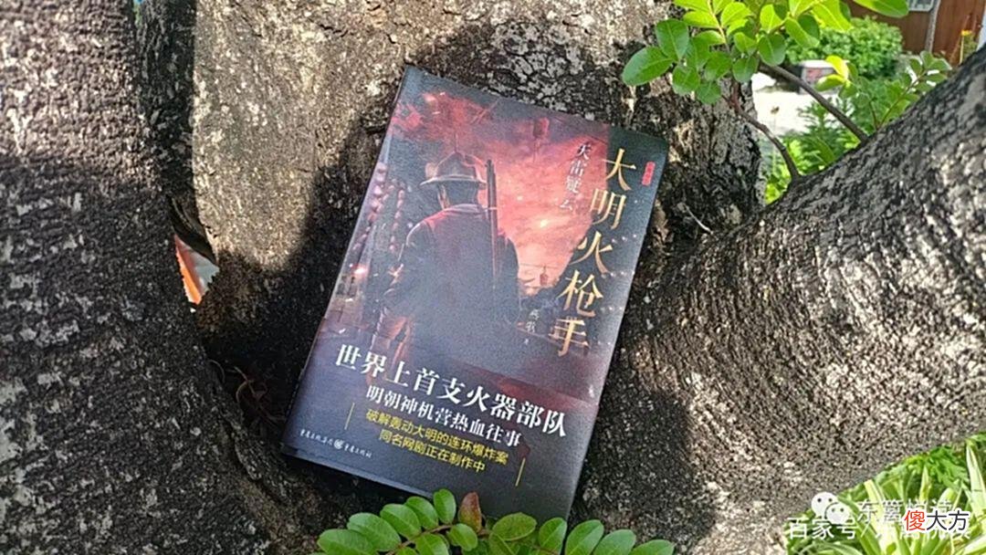 【历史故事】限时七天解救京城，丁醒这次能成功吗？