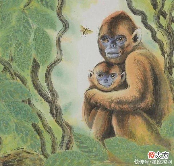 【星座控】啥生肖的人，霉运全消散，否极泰来，7月即将转大运，人生要上坡