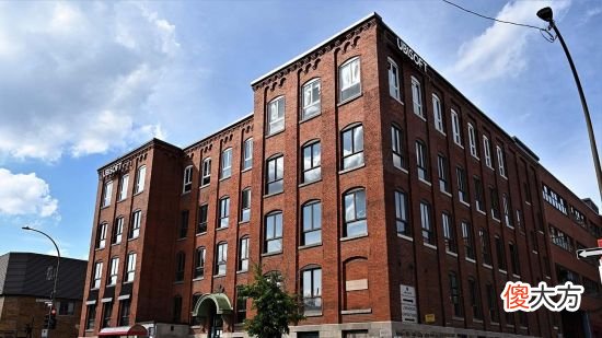 【游戏世界】育碧加拿大工作室宣布为《刺客信条》《孤岛惊魂》开发者加薪