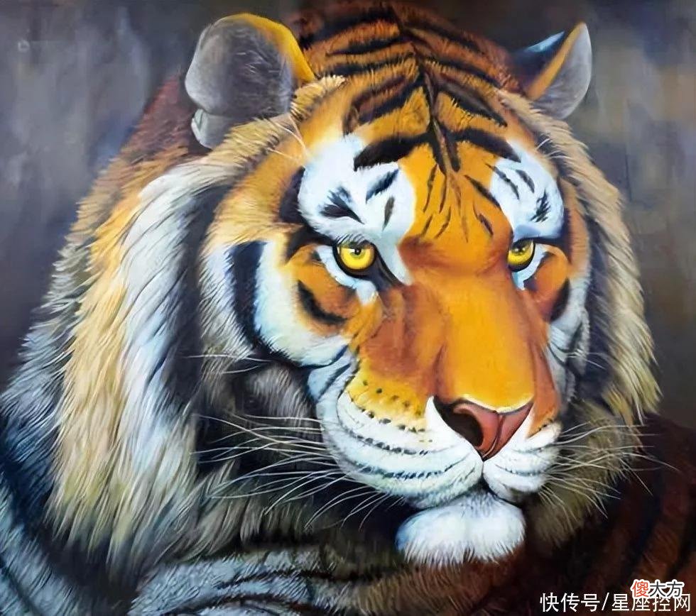 【星座控】入夏之后，3生肖只剩好福气，人人相助，好事不断，有钱没烦心