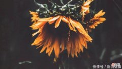 【十二星座】下周，爱意如初，旧情来袭，三大生肖将再次执手前任，冰释前嫌