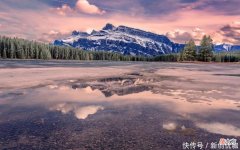 【十二星座】6月，幡然醒悟，不再强忍思念，将放下前任，喜迎新欢爱情的生肖