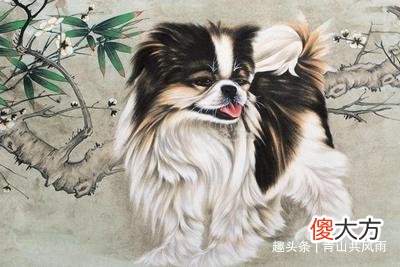 【十二星座】这三个生肖女，年纪越大越富有