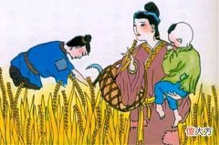 【爱历史】五月割麦，白居易写了一首诗，重点把握四个问题