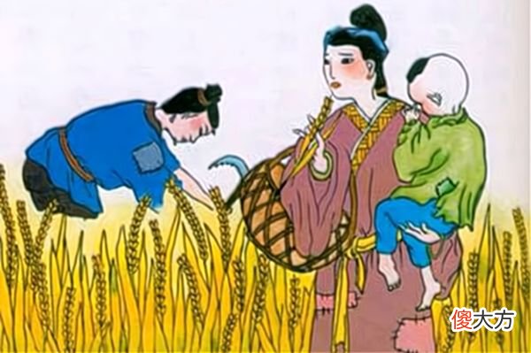 【爱历史】五月割麦，白居易写了一首诗，重点把握四个问题