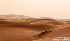 【十二星座】下半年，天降重任，运筹帷幄，三大生肖一马当先，志得意满
