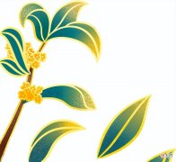 【爱历史】家谱文化，你了解多少？