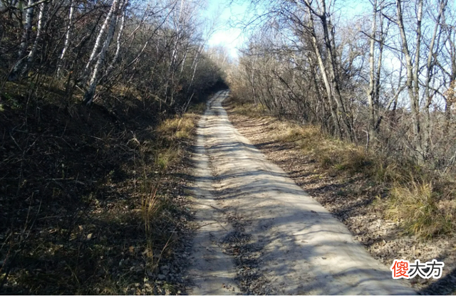 【历史故事】为何秦直道在建成两千多年后，到现在仍然有许多路段寸草不生？