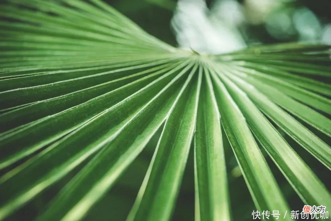 【星座控】6月，财星高照，财神青睐，正财横财顺心如意，变身有钱人的生肖