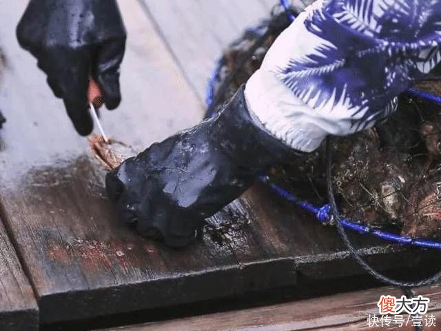 【时尚一点】是它给了我素颜出门的勇气