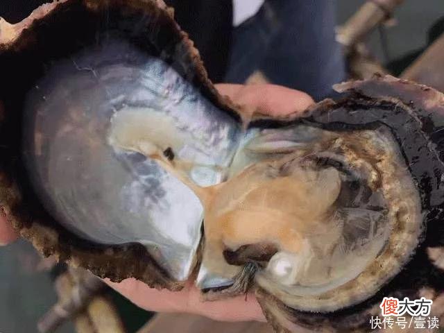 【时尚一点】是它给了我素颜出门的勇气