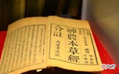 【历史故事】壁虎到底有什么可怕之处,为何古人将其列入“五毒”之一?