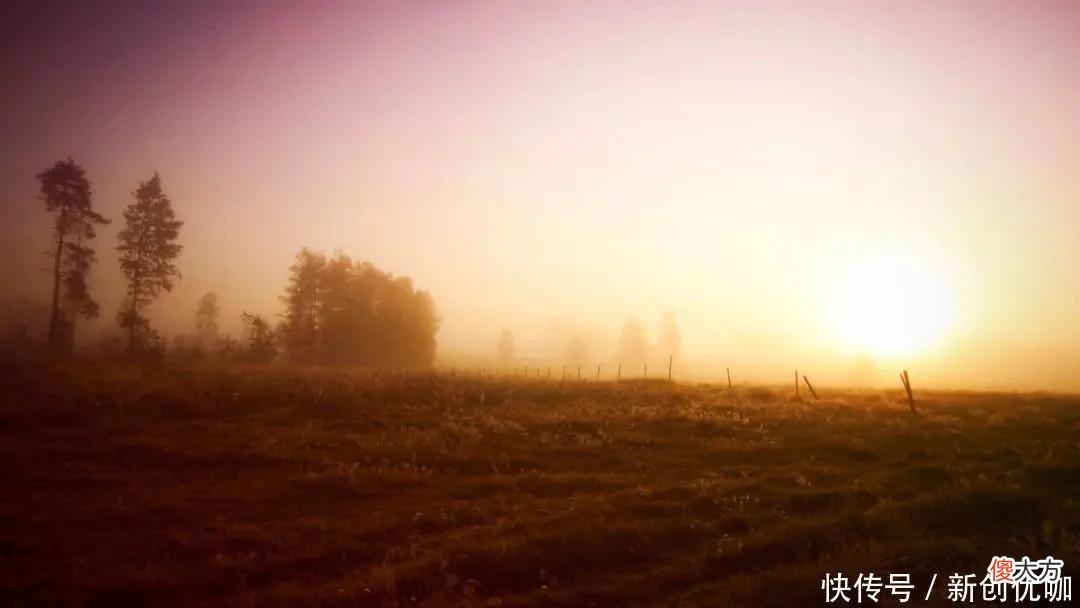 【十二星座】2022年，时至运来，喜从天降，事业和财富，一顺百顺的三个生肖