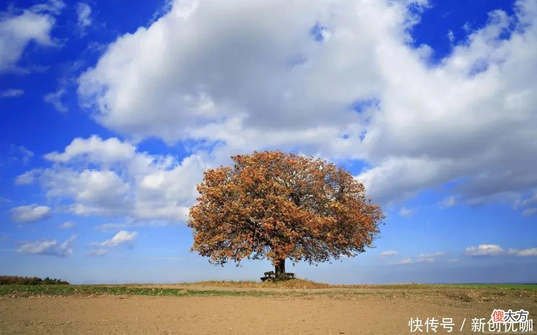 【十二星座】6月，锦鲤相随，财势低开高走，身价上涨，富有且无忧的三个生肖