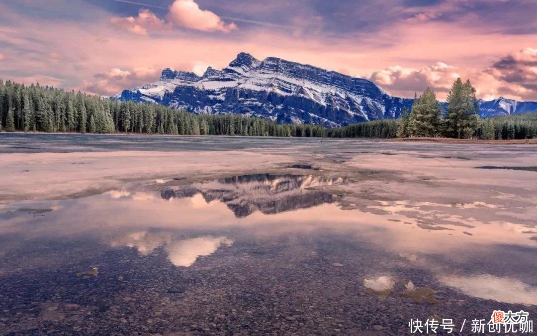 【十二星座】6月，锦鲤相随，财势低开高走，身价上涨，富有且无忧的三个生肖