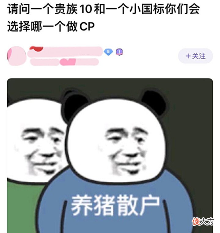 【游戏迷】王者荣耀玩家发问:如果让你选cp,你是选V10玩家还是国服玩家?