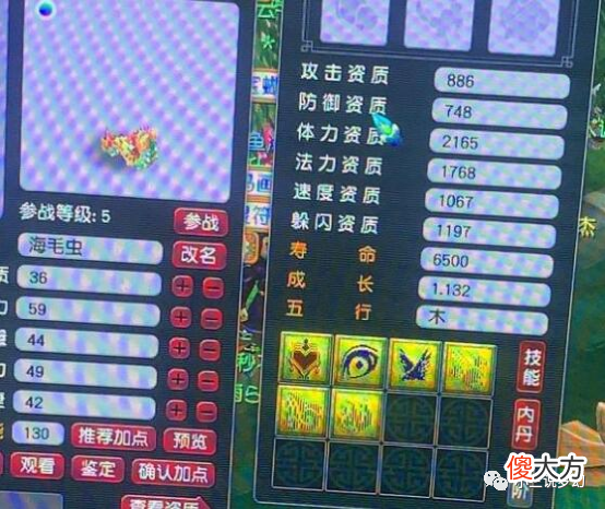 【游戏世界】梦幻西游：七技能的海毛虫有三特殊，总伤893的130简易有三加属性