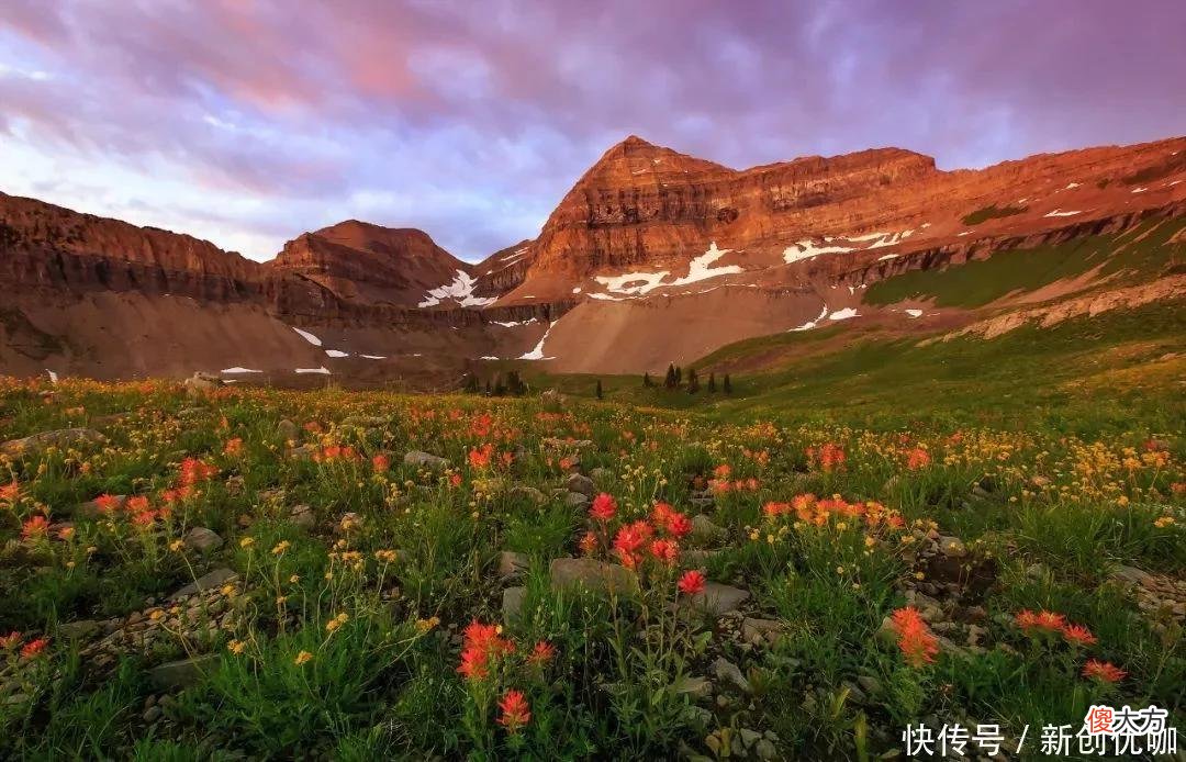 【十二星座】6月，紫气东来，桃花运上上签，相爱顺心，平安幸福的三个生肖