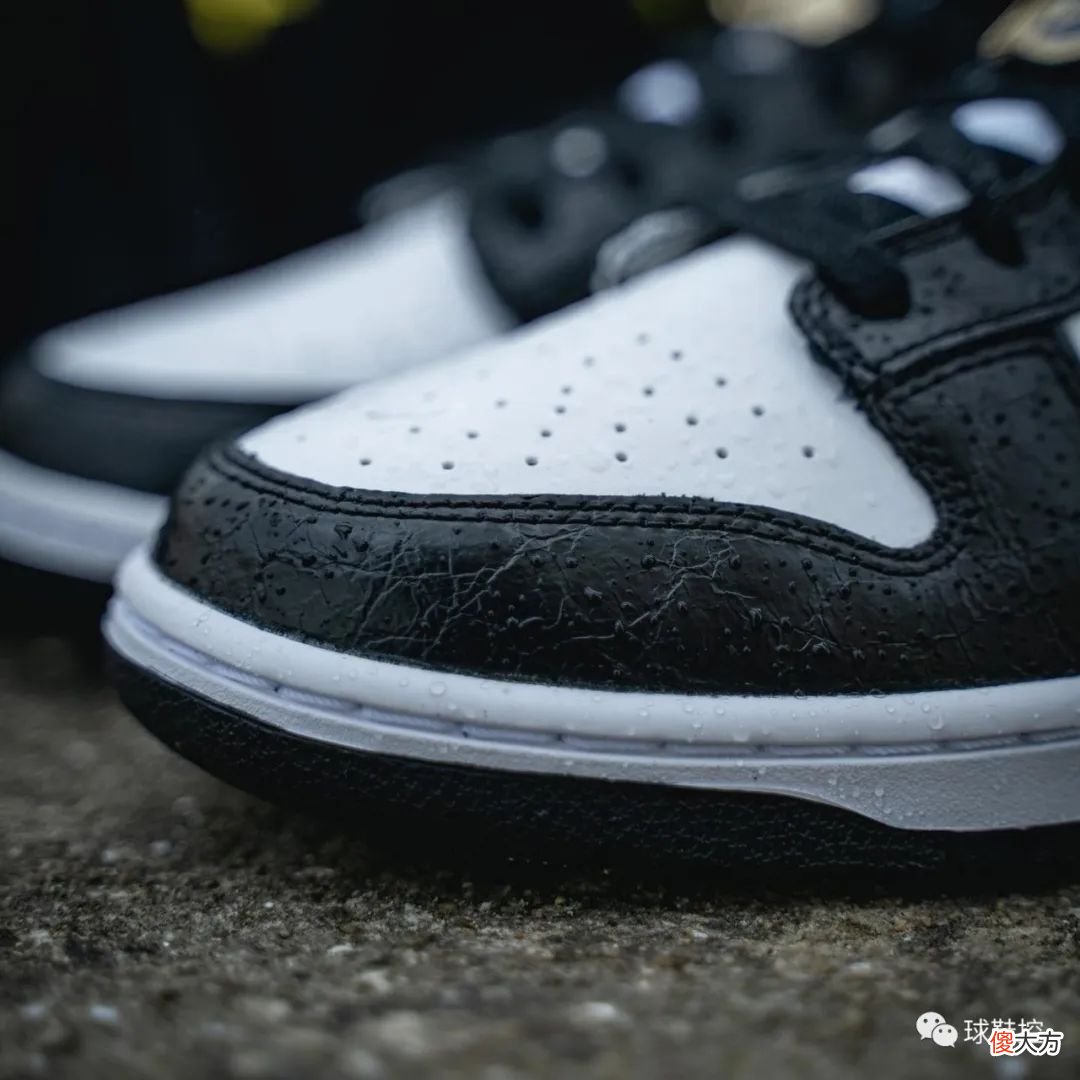 【时尚一点】Supreme 平替？熊猫进阶版 Nike Dunk 再曝光＆BAPE 极简黑白系列官宣定档！