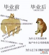 【游戏世界】网友面试国产游戏公司，面试官让购买自家游戏+好评，随后踢走她