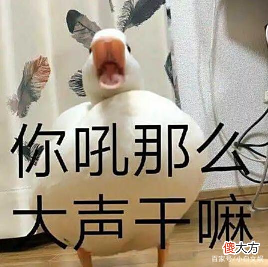 【游戏迷】想找好队友？只需4步！《大话西游》手游固定队“寻亲必备指南”