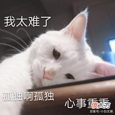 【游戏迷】想找好队友？只需4步！《大话西游》手游固定队“寻亲必备指南”