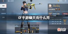 【游戏世界】《CF手游》啸天有什么用武器啸天介绍