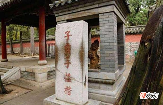 【历史故事】古代的“楷模”是指两种树，楷树是黄连素，模树是不是早就绝迹了