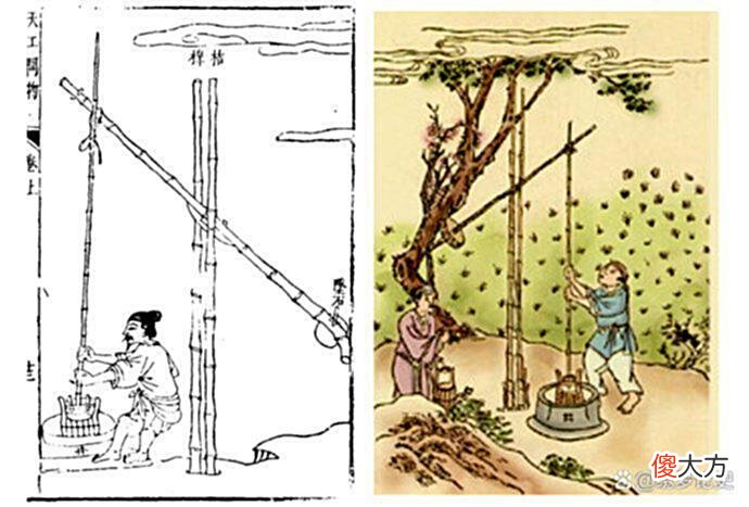 【爱历史】宋朝一和尚，听到桔槔声豁然开悟，后来弃佛入道，活了114岁