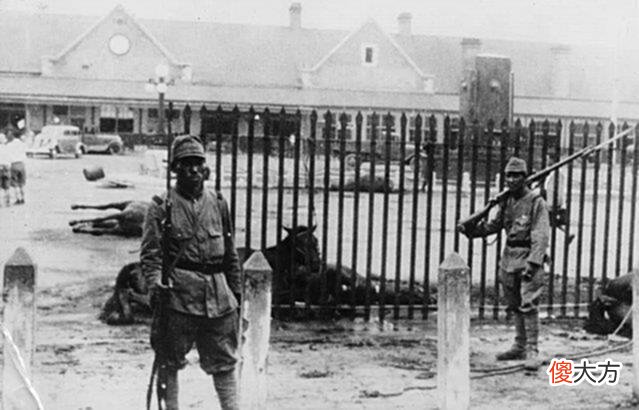 【爱历史】第二次世界大战日本兵老照片！