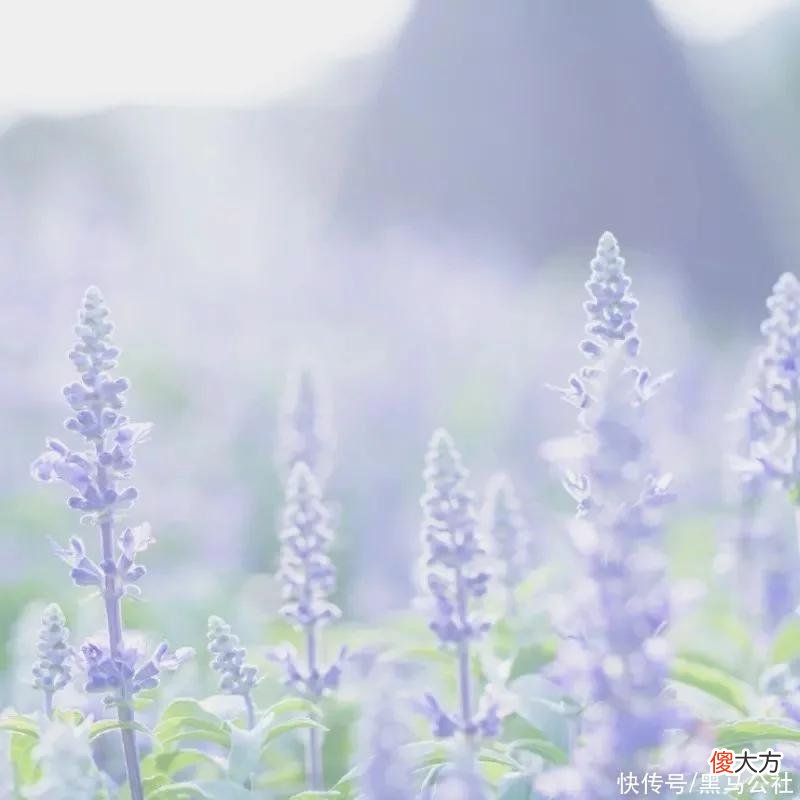【时尚一点】【59/2瓶】不可错过的小众香水！贼上头，根本把持不住！