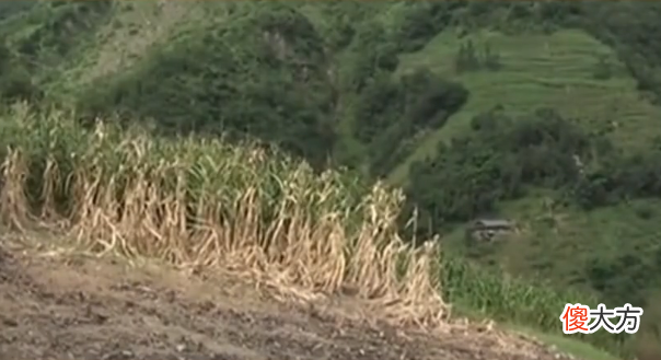 四川神秘村庄惊现火焰山，村民种地全年颗粒无收，全村苦不堪言