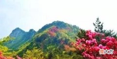 安徽“白毛女”住山洞10年,被救时已成为野人,现状如何?