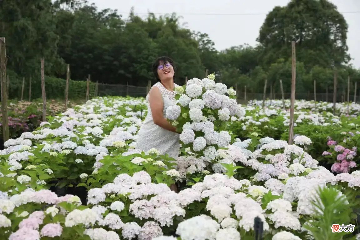 二胎妈妈应该怎样去生活？这个妈妈的花草世界1000万网友围观