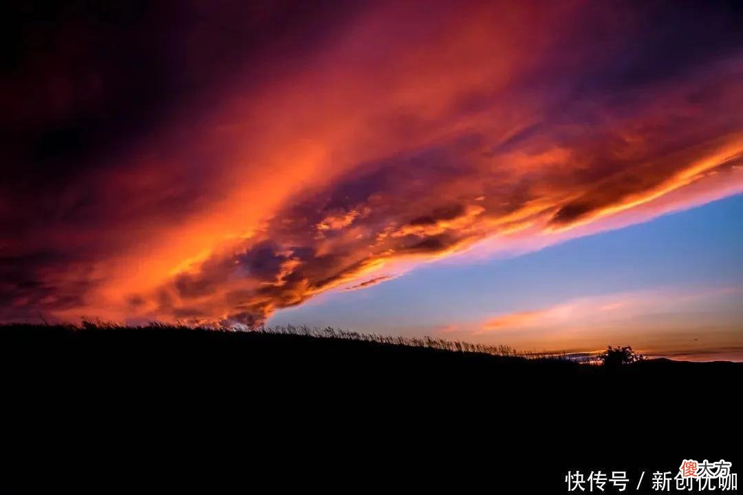 【十二星座】下月，月老眷顾，红娘撑腰，前任将回头，有望旧情复燃的三个生肖