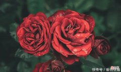 【十二星座】未来三个月，好运当头，事业顺畅，将名利双收，快乐赚大钱的生肖