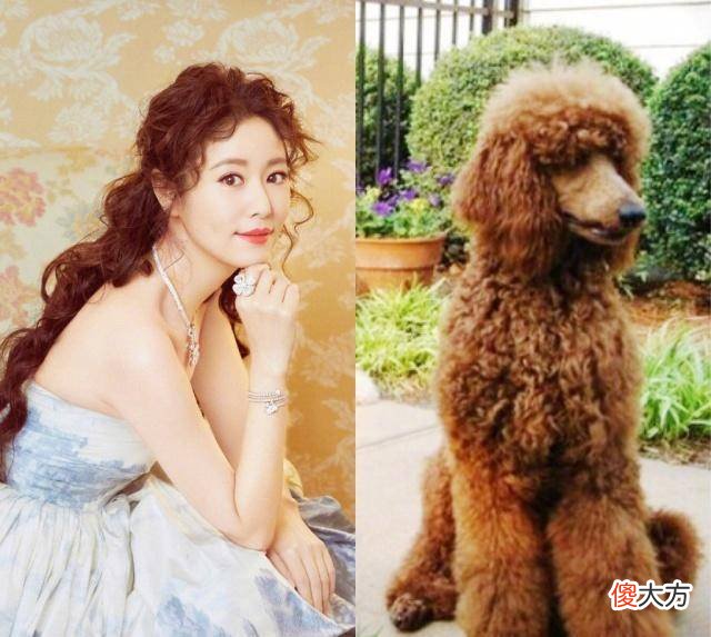 【时尚一点】42岁林心如终于高调美一回，除了马尾辫