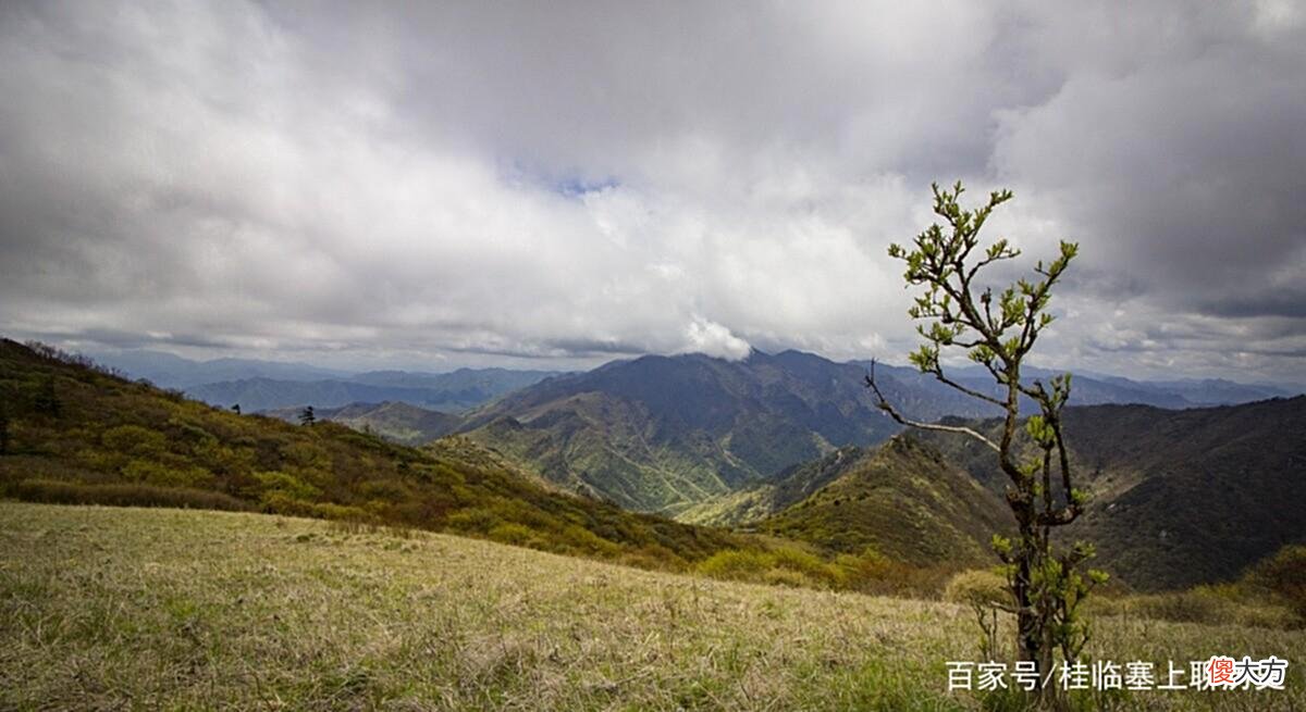 【爱历史】大秦帝国：“强秦”还是“暴秦”？不过是秦始皇的一念之变而已
